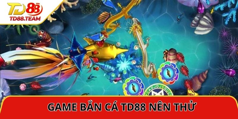 Chia sẻ cái tên nhất định phải thử khi tham gia